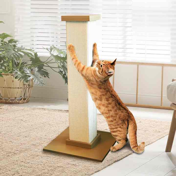SmartCat Ultimate Scratching Post