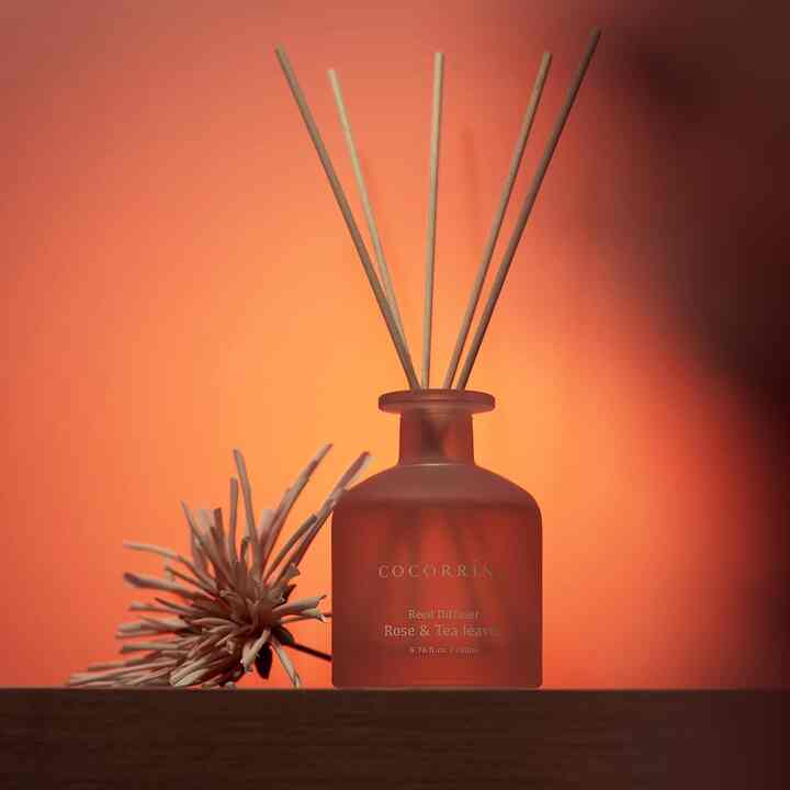 Cocorrína Reed Diffuser (Multiple options)