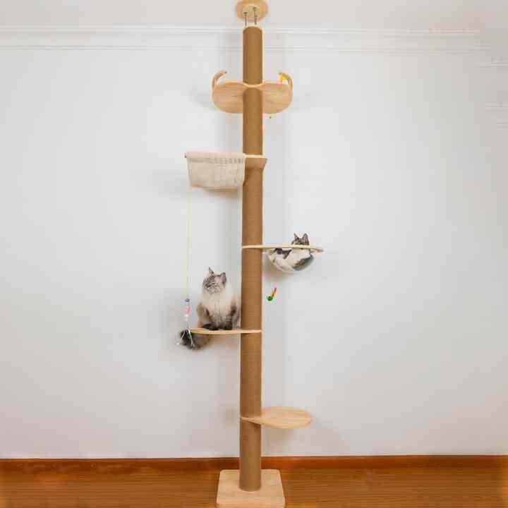Cat Tower