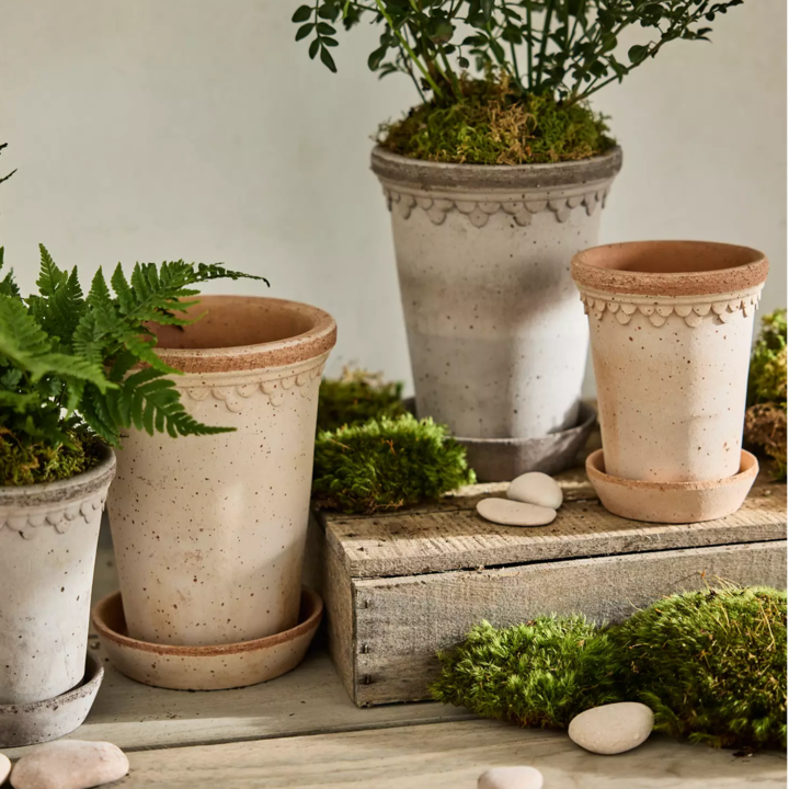 Tall Copenhagen Terracotta Pot + Saucer