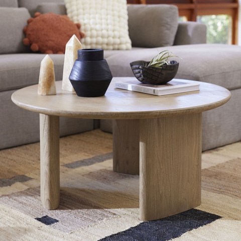 World Market Zeke Round Brushed Wood Coffee Table | Coffee & Side