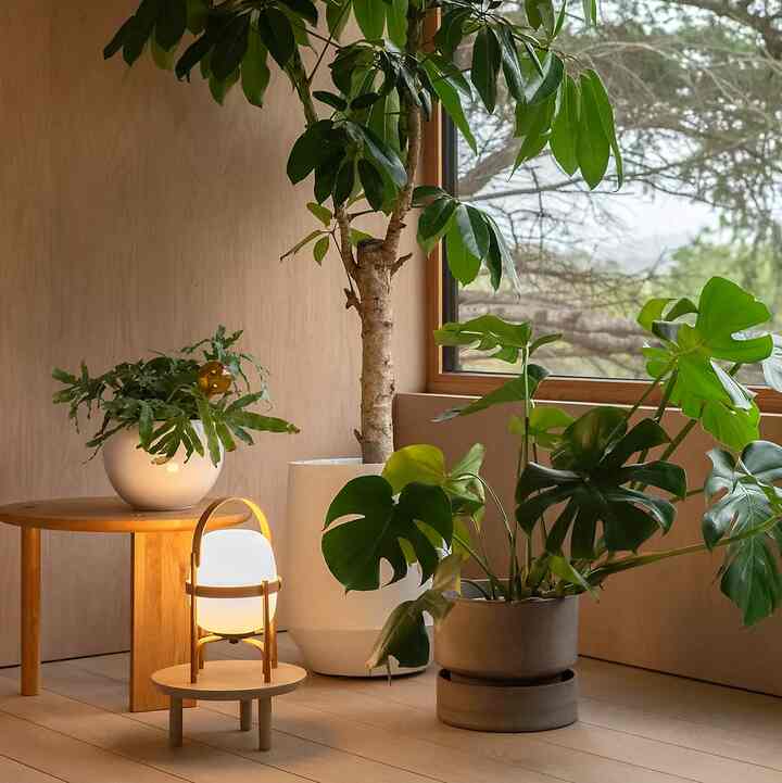 Bergs Hoff Terracotta Pot (Multiple options)