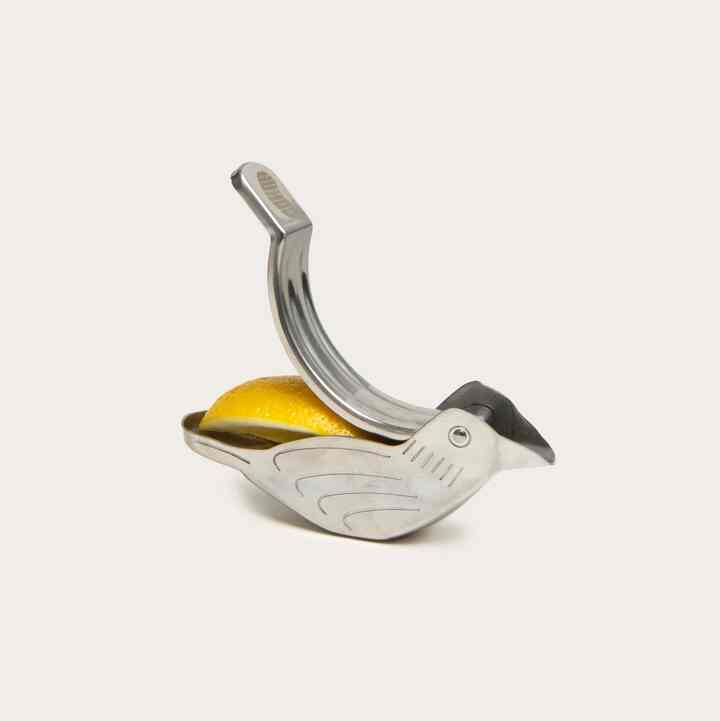 Lemon Squeezer Bird