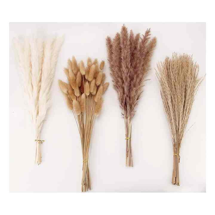 Dried Pampas Grass Decor
