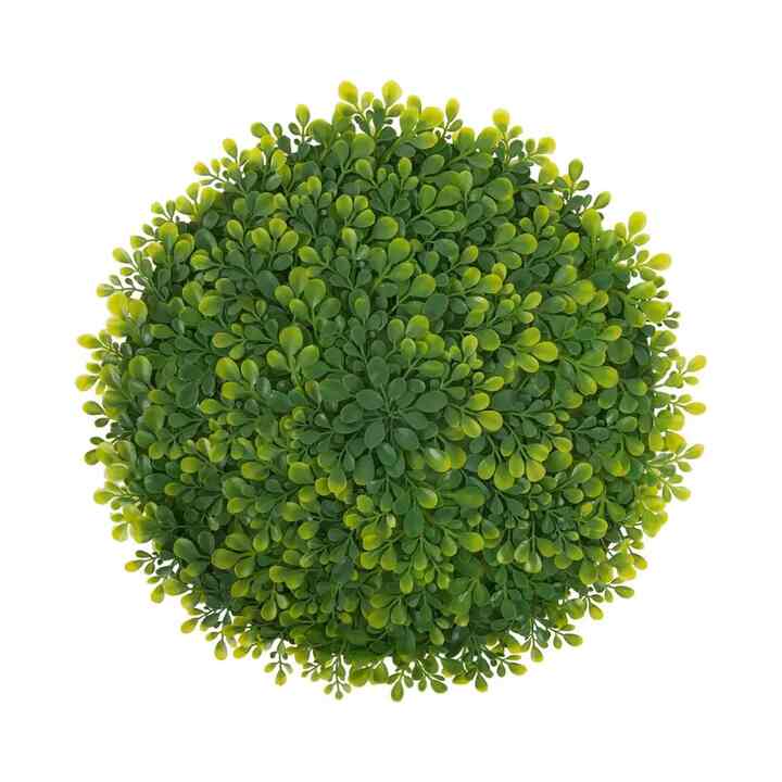 Boxwood Placemat