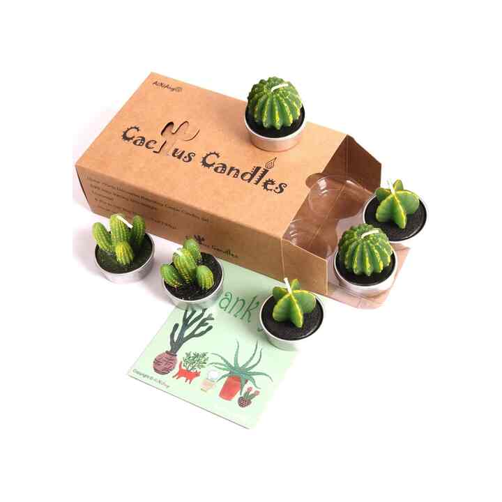 Succulent Candles