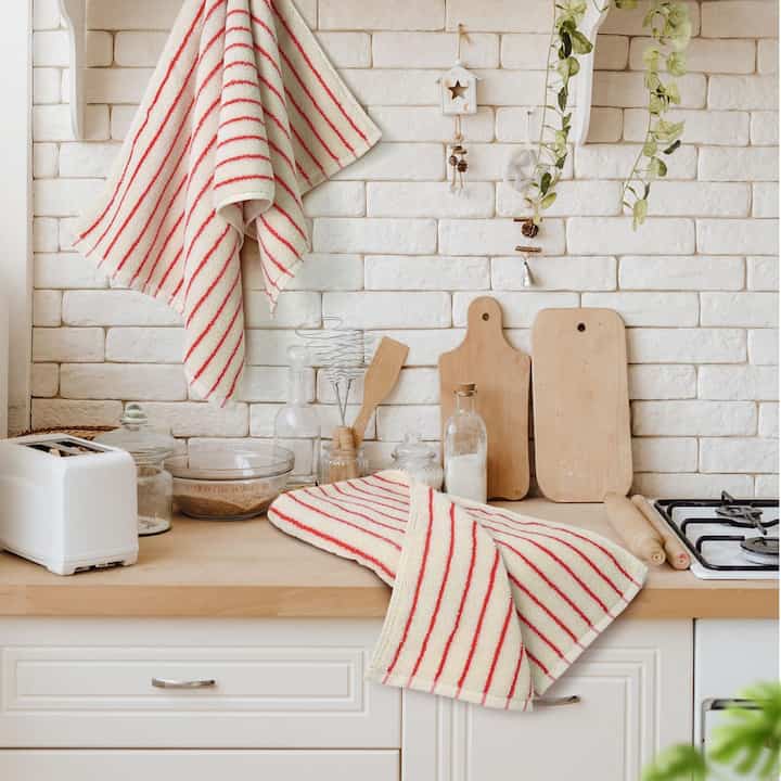Jacquotha Striped Hand Towels (Set of 2)