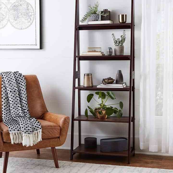 Amazon Basics Ladder Bookshelf Organizer