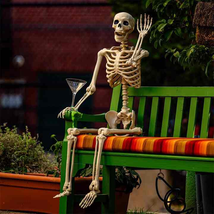 Daricano Halloween Skeletons Decorations