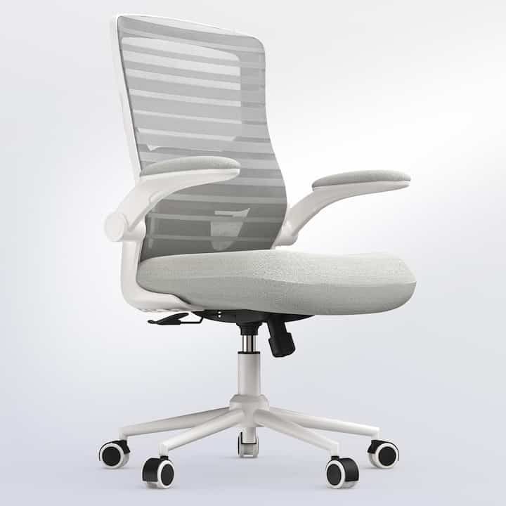 Ergonomic Office Chair