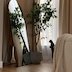 cozy_dreamscape