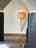 persimmon_house
