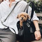 notcommon님의 프로필 이미지