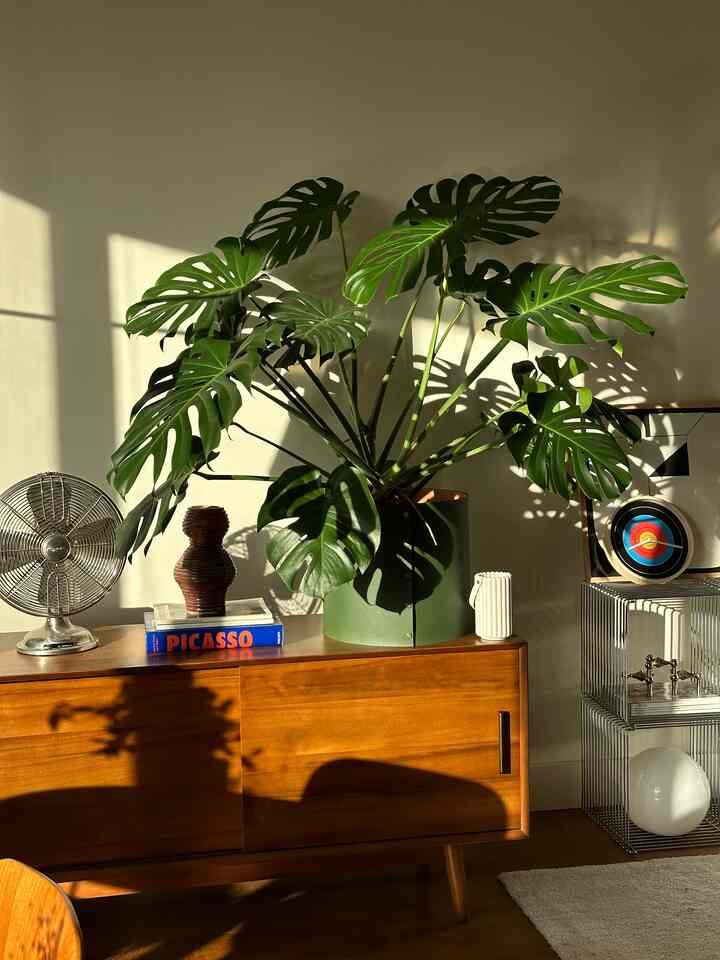 Tagged posts featuring Aero 2.0 Diffuser 2