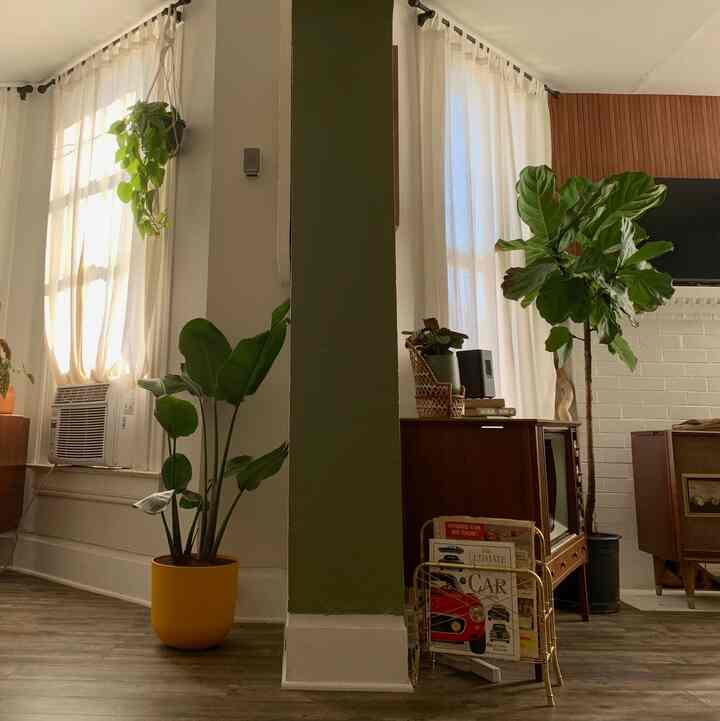 Vintage-style living room featuring green-toned pillar and various plants with warm natural accents