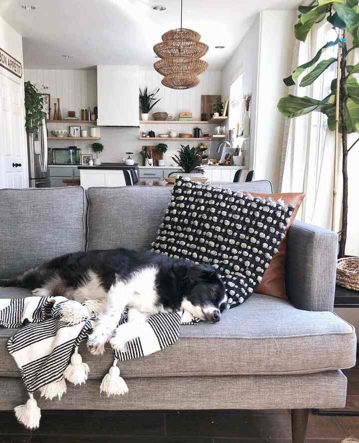 Natural-toned living room featuring a gray sofa with a dog, open kitchen in background, and prominent pendant light creating a cozy atmosphere