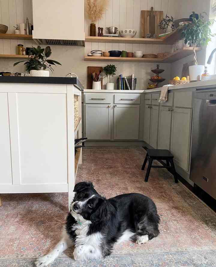 Natural and white toned kitchen space featuring open shelving, a patterned rug, and a black and white dog lying comfortably as a cozy focal point