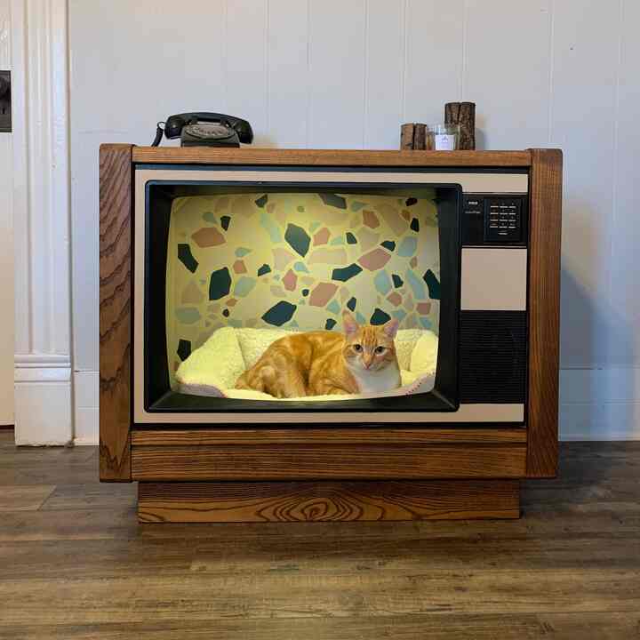 Natural brown wood tone vintage TV repurposed as cozy cat house with soft bed and orange cat inside