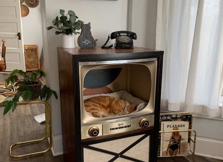 A cozy living room corner with white walls and wood-tone furniture featuring a vintage TV cabinet housing a sleeping cat