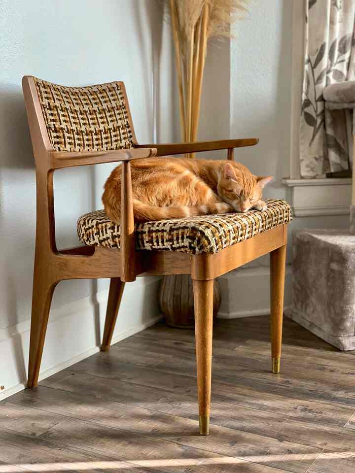 Some of my favorite vintage items 🫶🏼 I know they can be hard to find so Ive listed some dupes online! #vintage #midcentury #wood