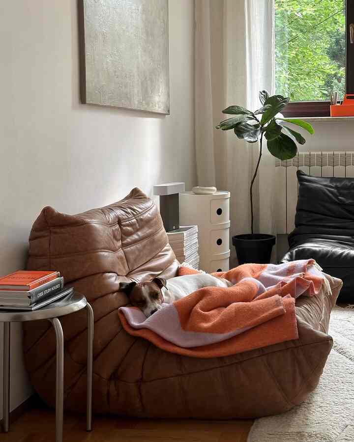 Living room with brown sofa and orange blanket, featuring a plant by the window creating a warm atmosphere