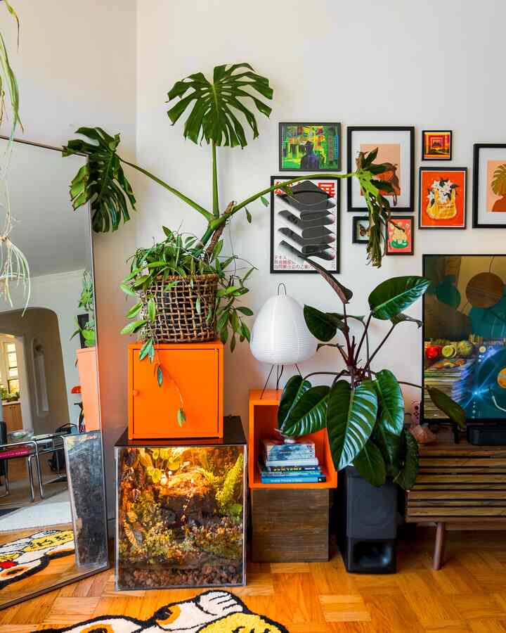 A vibrant living room with dominant orange and natural wood tones featuring a terrarium, lantern, and mirror for a stylish ambiance