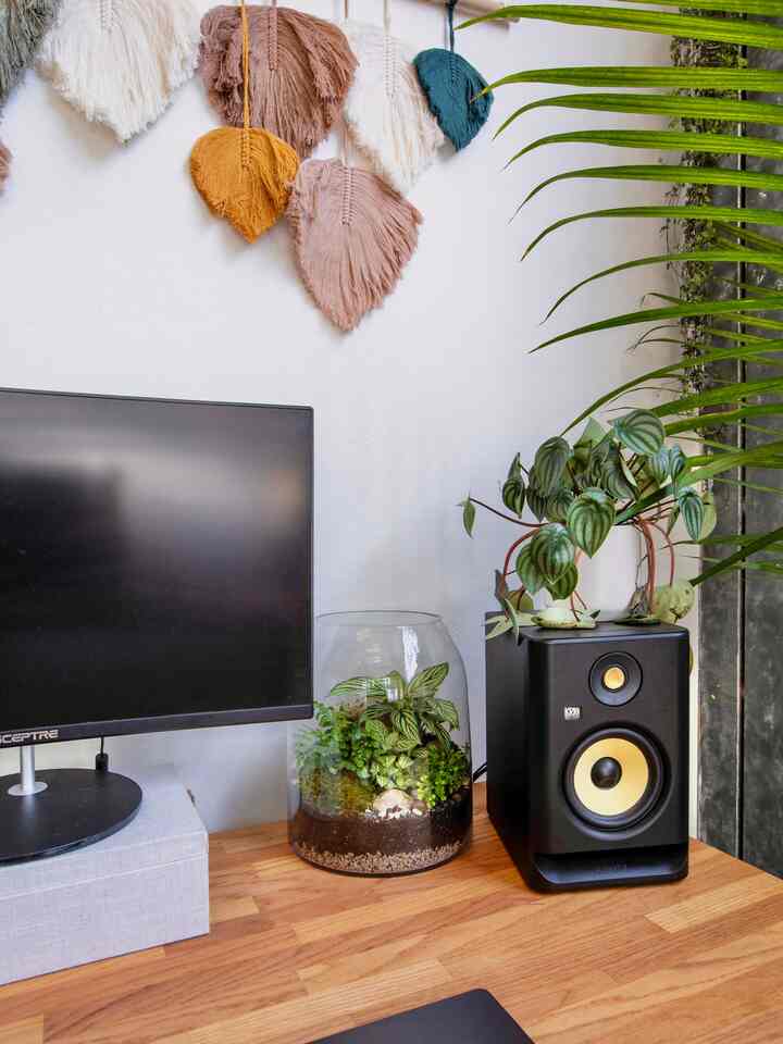 Bright white walled home office featuring wood tone desk, monitor stand, and lush plants in a tidy bohemian style setup