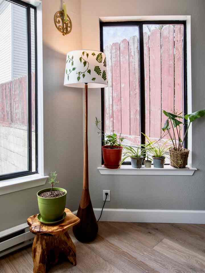 Natural tone corner space with wood flooring, floor lamp and several plants arranged by window