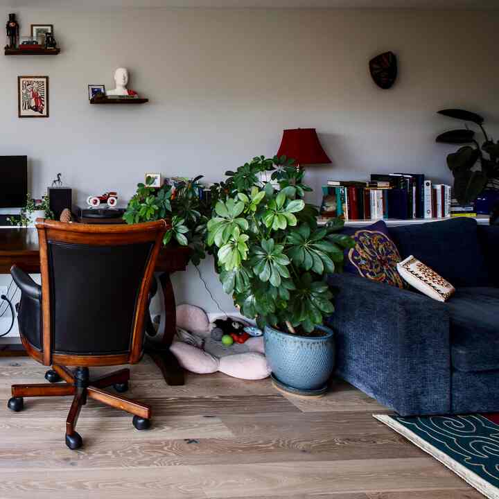 Tagged posts featuring Blue Midcentury Modern Sofa 2