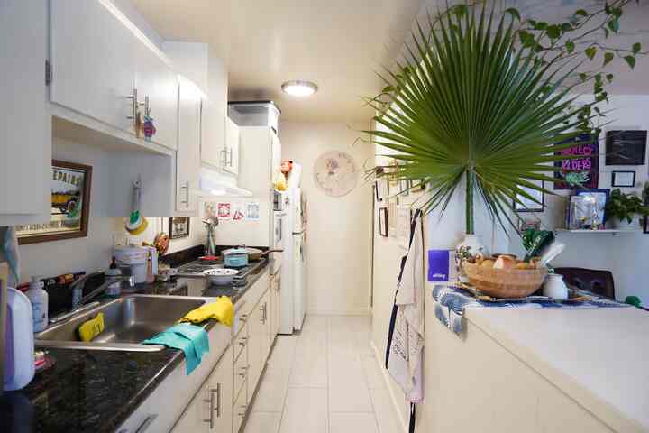 White-toned, narrow galley kitchen featuring vintage decor and natural elements, creating a cozy atmosphere