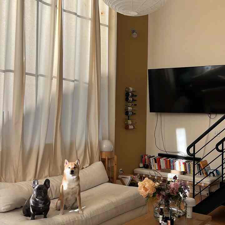 Natural tone living room featuring a beige sofa with two dogs sitting on it, a wine rack and a wall-mounted TV creating a cozy atmosphere
