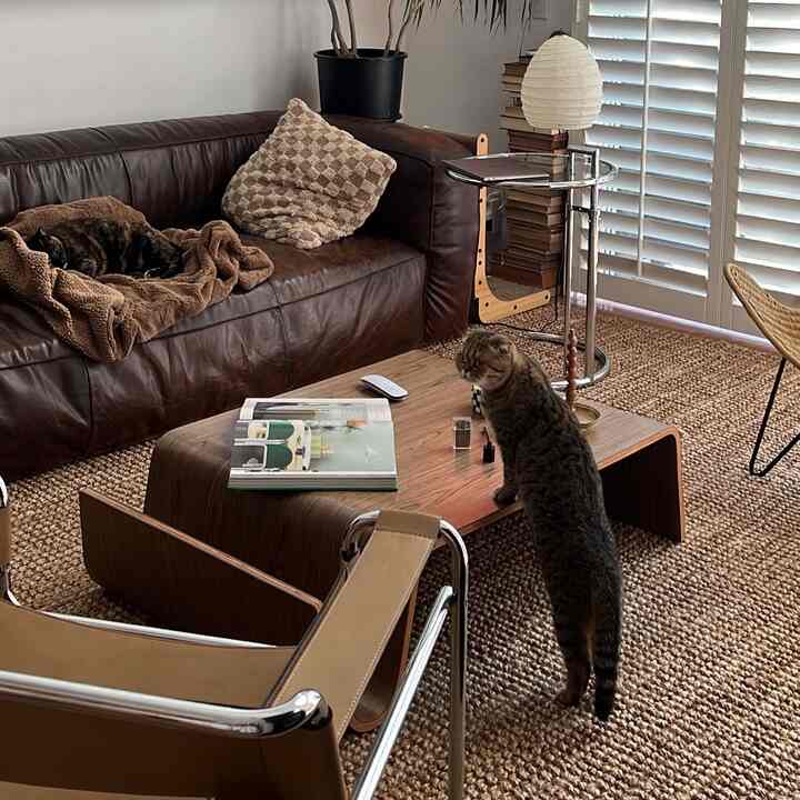 Warm brown-toned living room featuring a leather sofa with a cat and wooden coffee table creating a cozy vibe