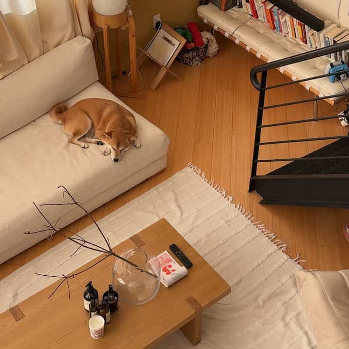 Sunday nappies #japandi #cozyhome #interiorobject #WoodInterior #livingroominterior 