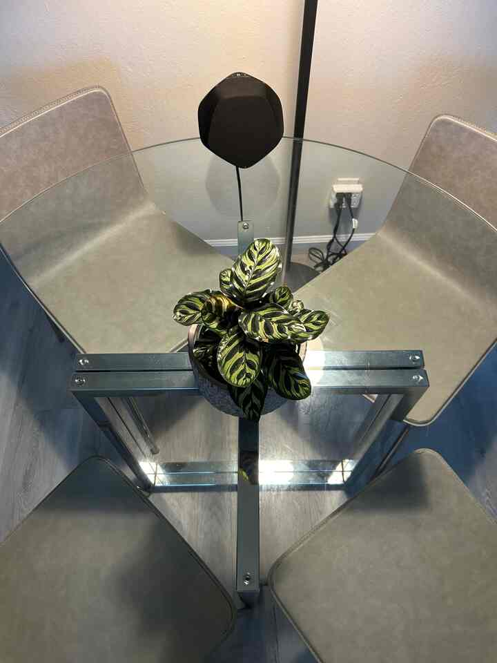 A close up view of my modern CB2 silverado chrome glass table. I love glass tables because of how clean and modern they look 🩶 #CB2 #chrome #diningroom