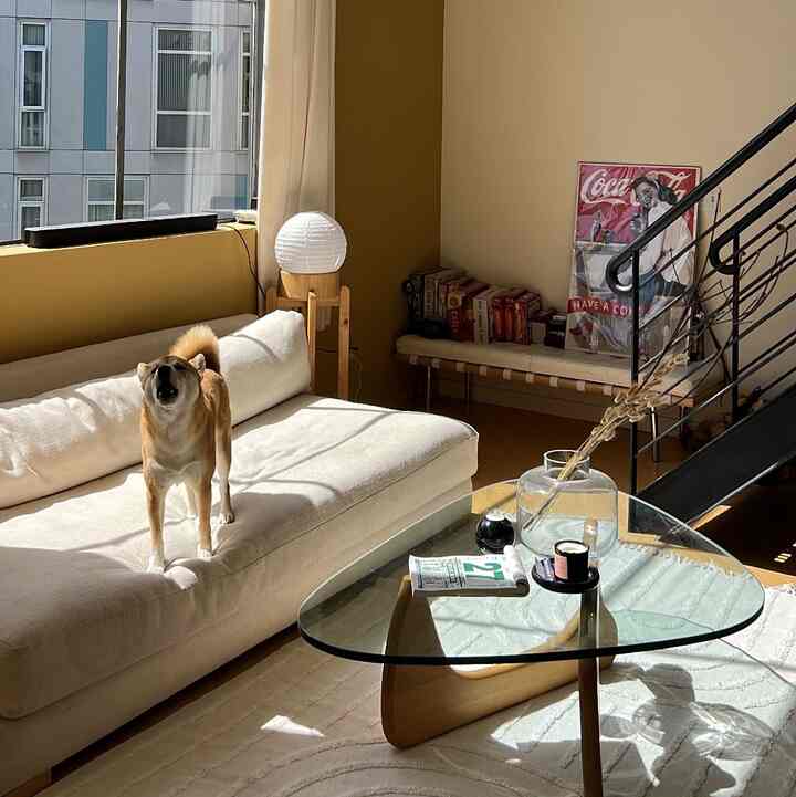 If you’re happy give me an awhoooo #livingroominterior #loftstyle #loftapartment