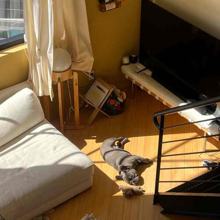sun bathing #japandi #loftlighting #cozyhome