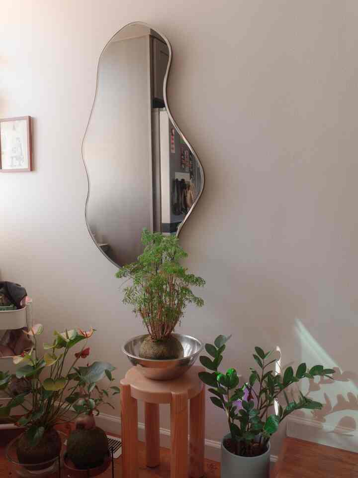 #livingroom #pondmirror