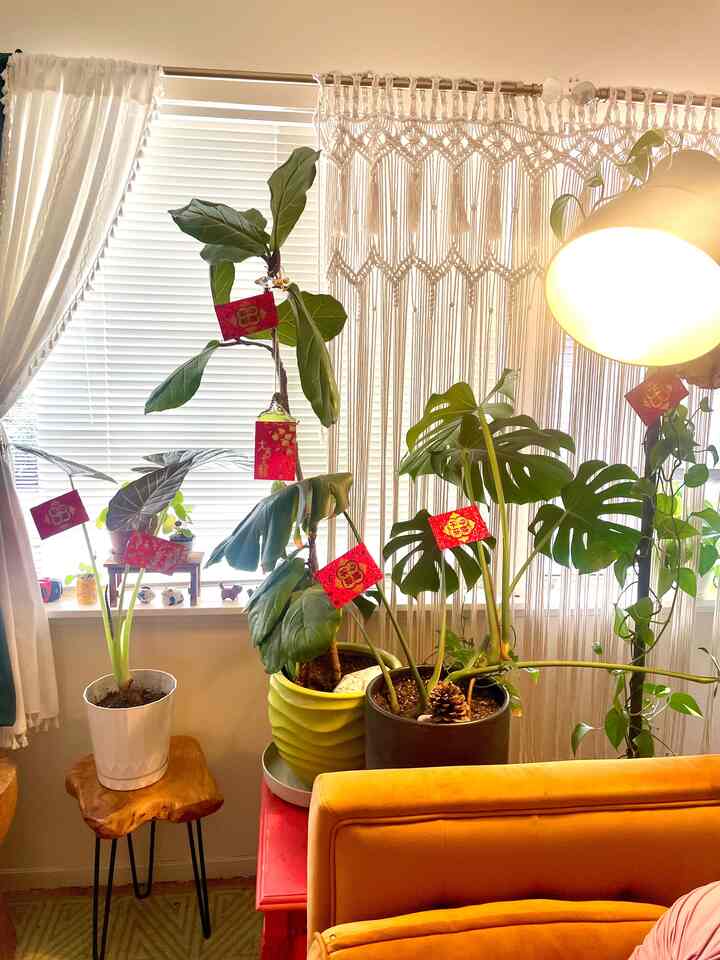 #Redenvelopes to bring luck and properity during #ChineseNewYear! #LunarNewYear