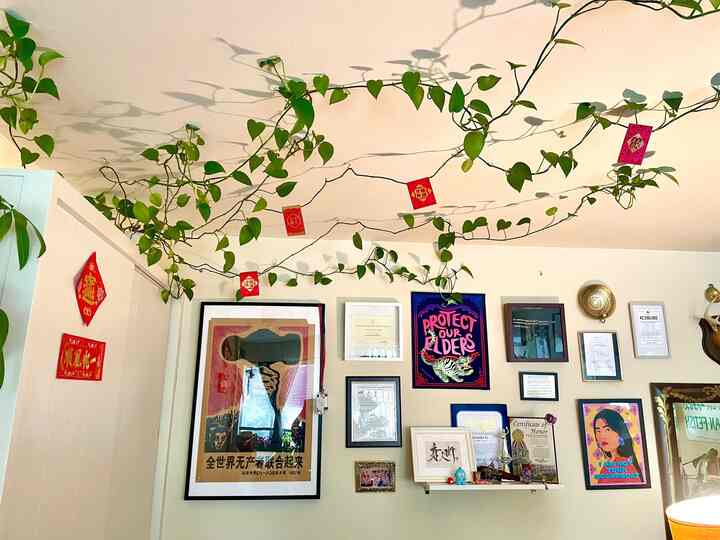 Even my climbing #pothos on my cieling gets Red Envelopes on #Chinesenewyear! #LunarNewYear