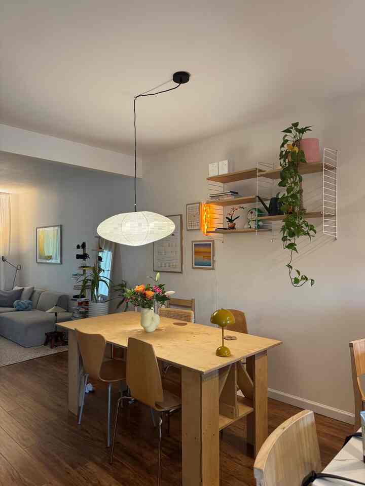 Natural wood tone dining room featuring dining table, chairs, pendant light and wall shelves with plants, creating a warm atmosphere