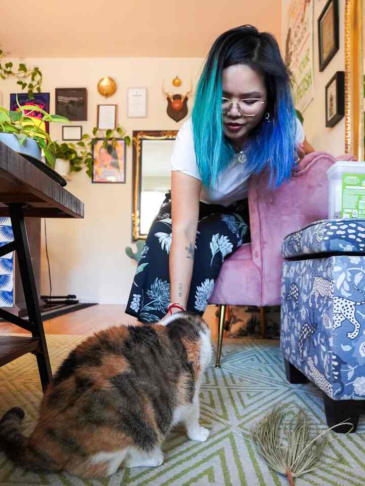 Hai, Red Bean! Ruang tamunya juga berfungsi sebagai taman bermain kucing! #cats #colorfulinterior