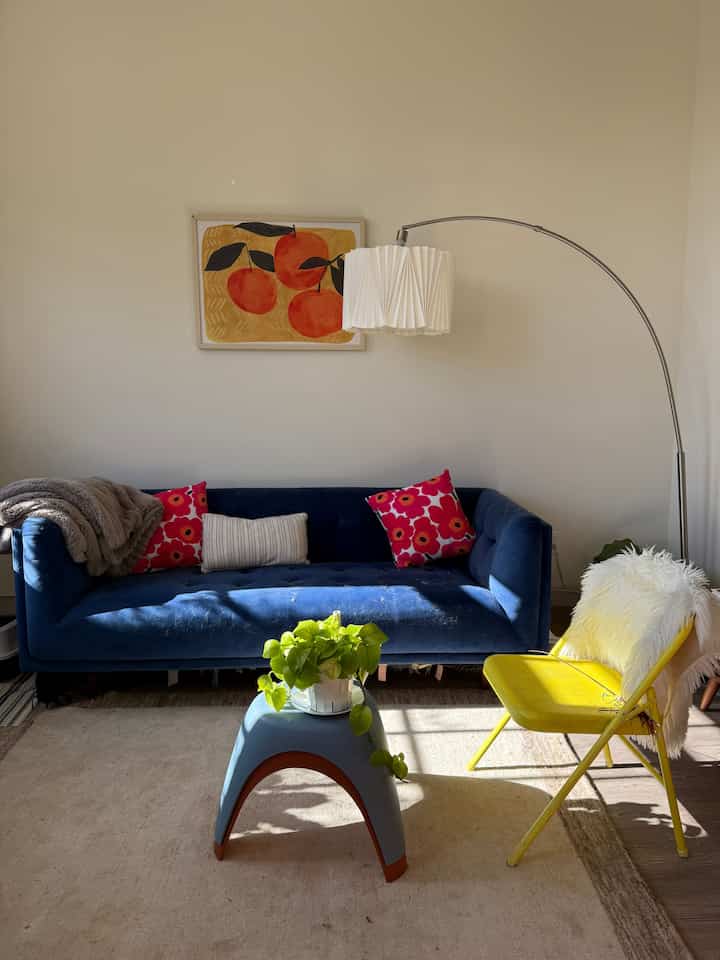 Modern eclectic living room featuring a cobalt blue sofa and bright yellow accent chair, cozy with pet-friendly touches