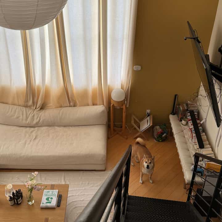 when a stubborn little shiba won’t come upstairs 🐶🐕 #athomeliving #japandi #loftapartment 