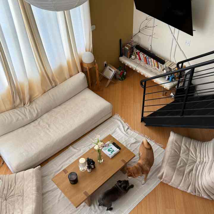 last few months here! #loftliving #cozyhome #japandi