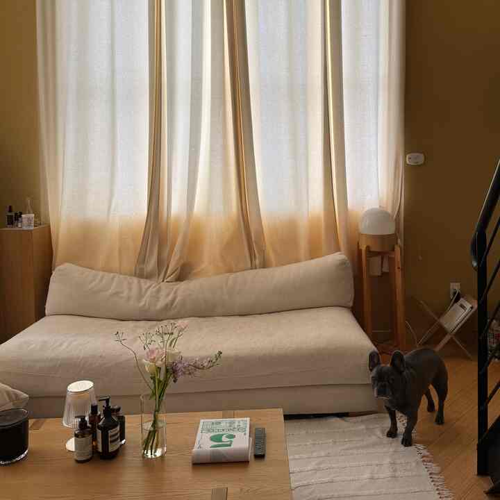 moody weather and moody Ollie #japandi #cozyhome #moodylight #loftliving