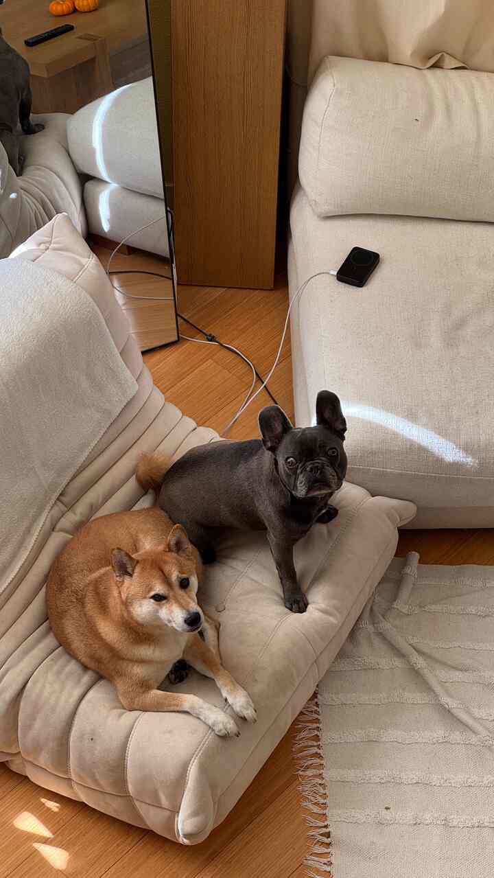 I’ll be home 😌 #japandi #loftliving #cozyhome