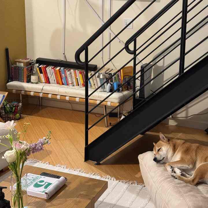 Natural wood-tone living room with beige sofa and black staircase, featuring a dog resting comfortably on the sofa