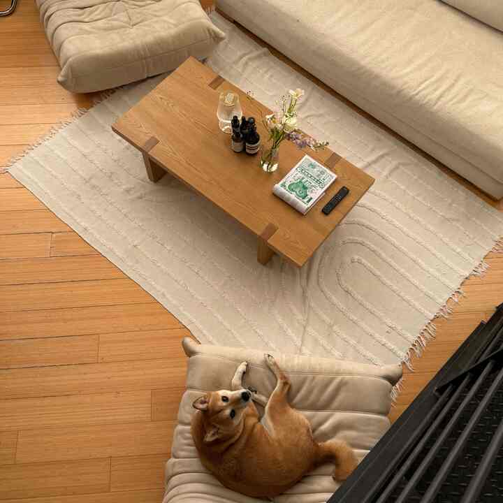 kaiju says hello #cozyhome #loftliving #sanfrancisco