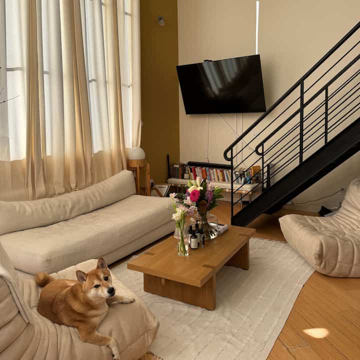 Back to our regularly scheduled sunshine #loft #sanfrancisco #japandi