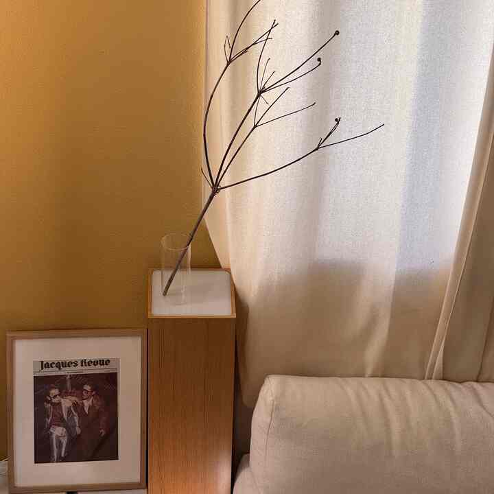 simple things #japandi #earthy #cozyhome